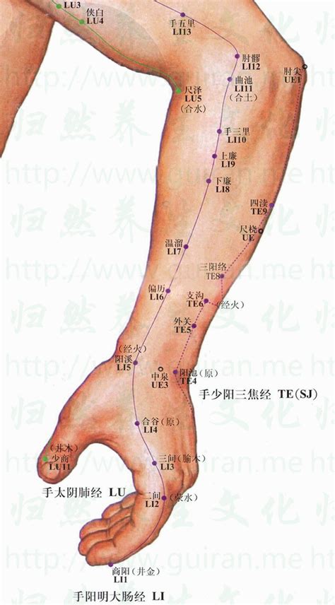 陽西穴|穴位每日一講之「陽溪穴」（內附名老中醫治療經驗分享）